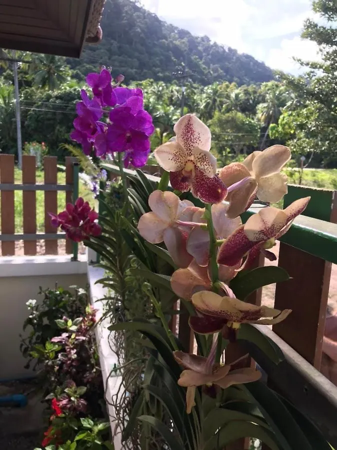 Villa Orchid Pool -Villa 4 Bedrooms Koh Lanta